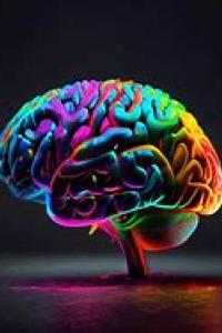 Brain